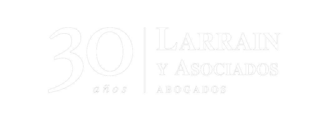 Larraín y Asociados - Cliente de Reyes IA